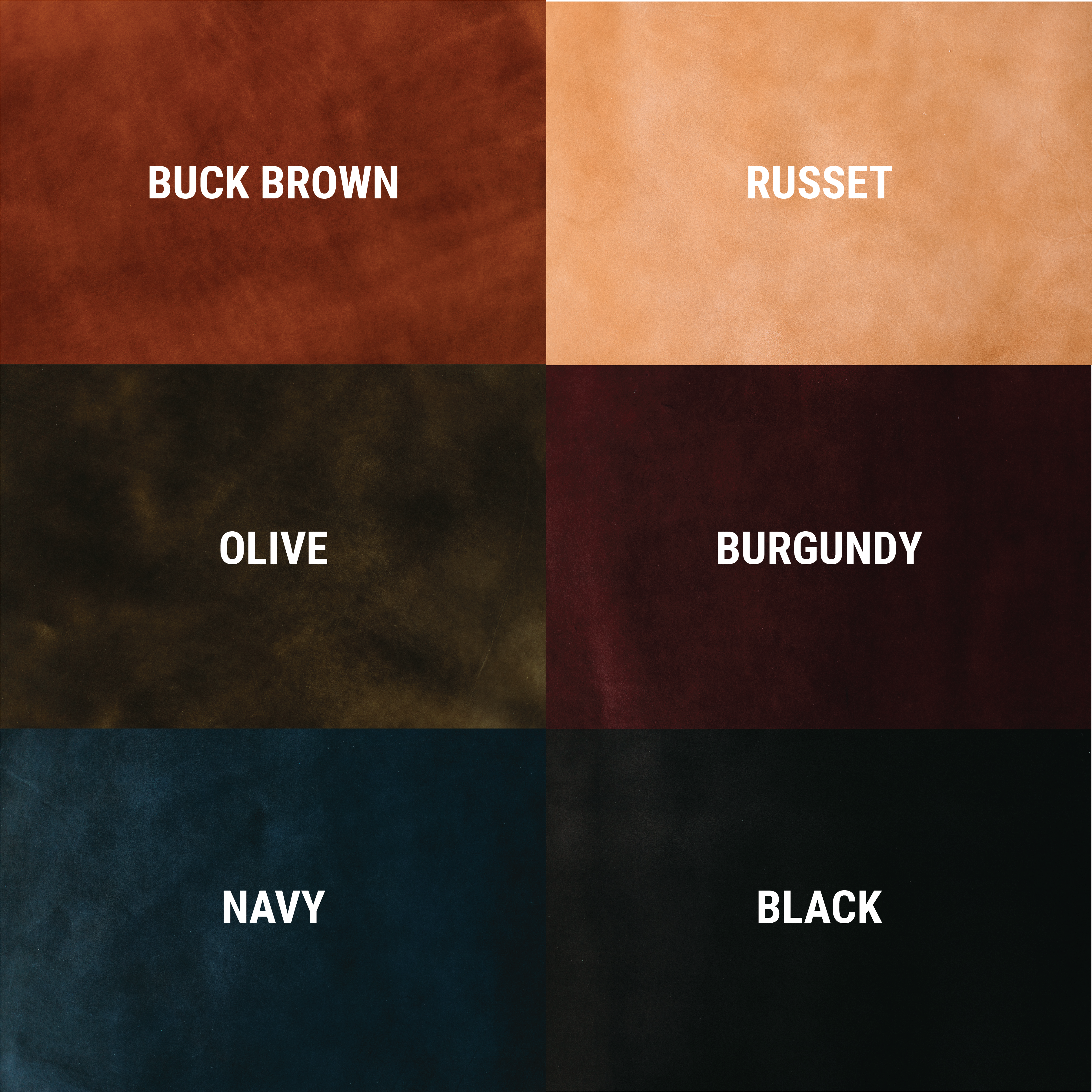 Create-your-own Livingstone 2